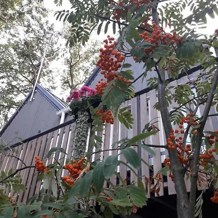 Üdülőpark Parkova